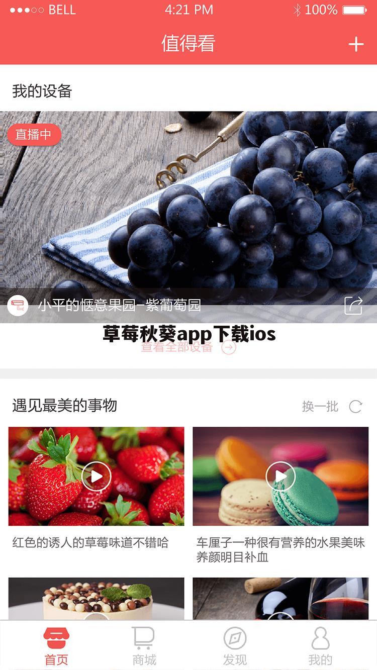 草莓秋葵app下载ios