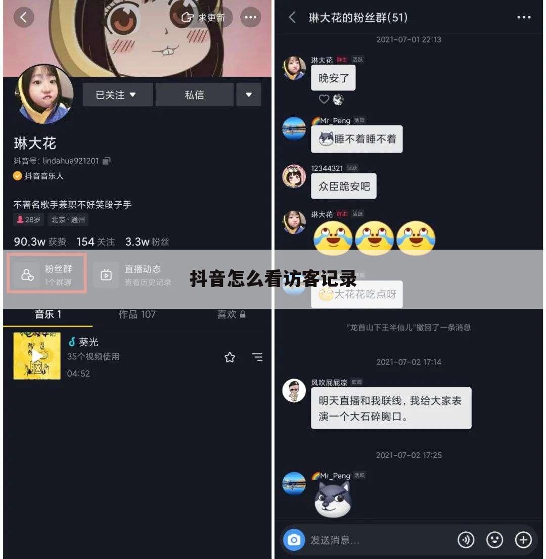 抖音怎么看访客记录