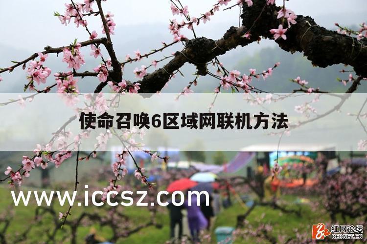 使命召唤6区域网联机方法