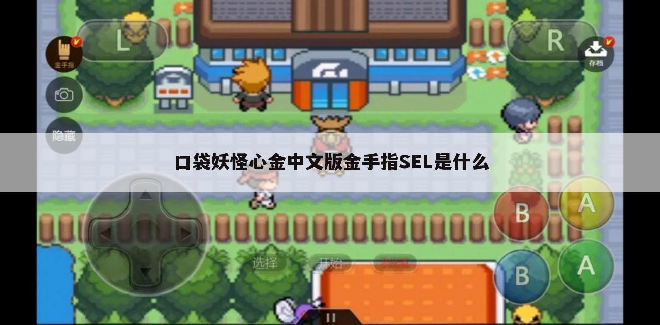 口袋妖怪心金中文版金手指SEL是什么