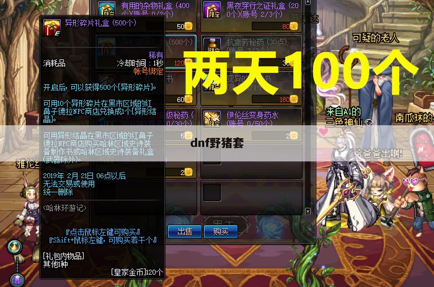 dnf野猪套