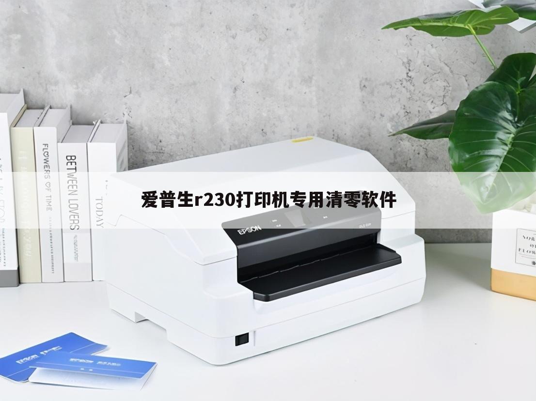 爱普生r230打印机专用清零软件