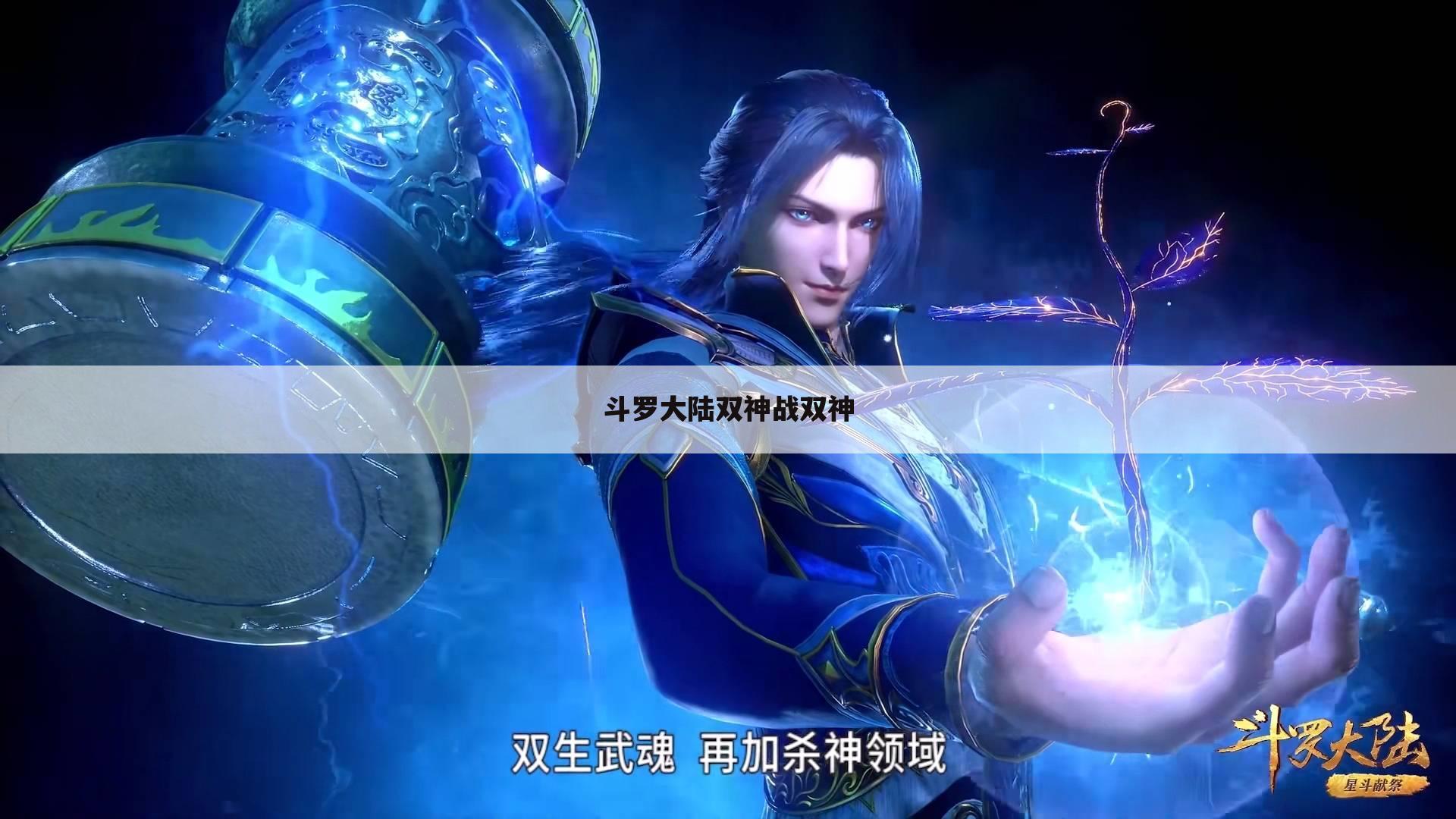 斗罗大陆双神战双神
