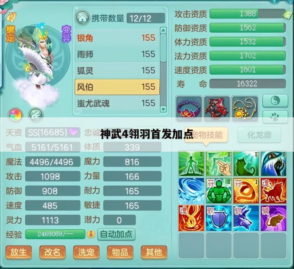 神武4翎羽首发加点