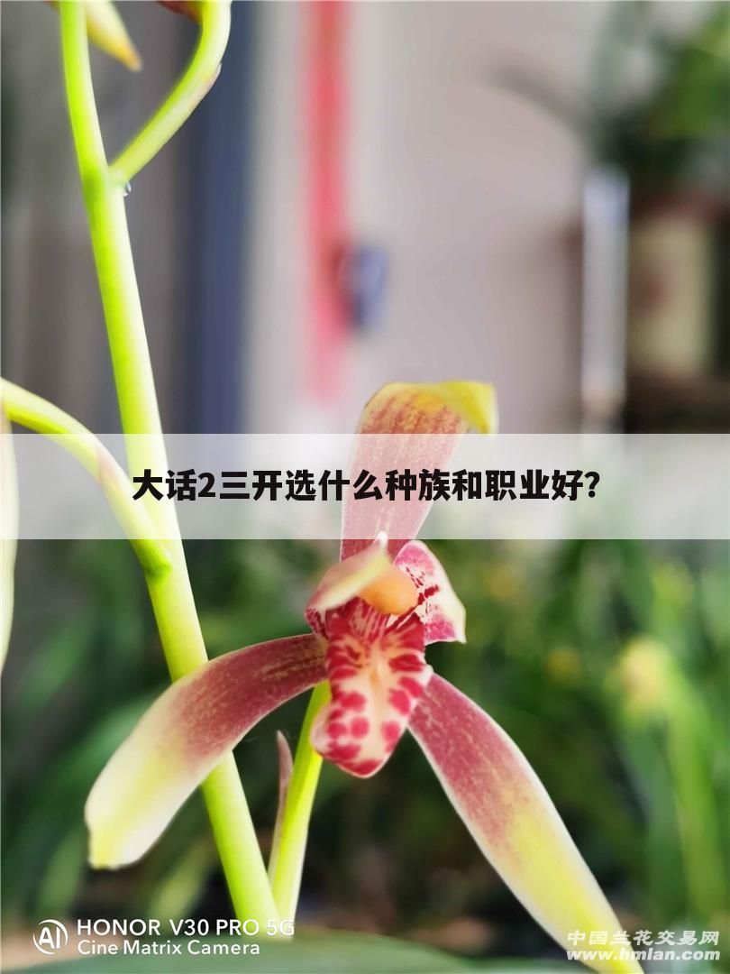 大话2三开选什么种族和职业好?