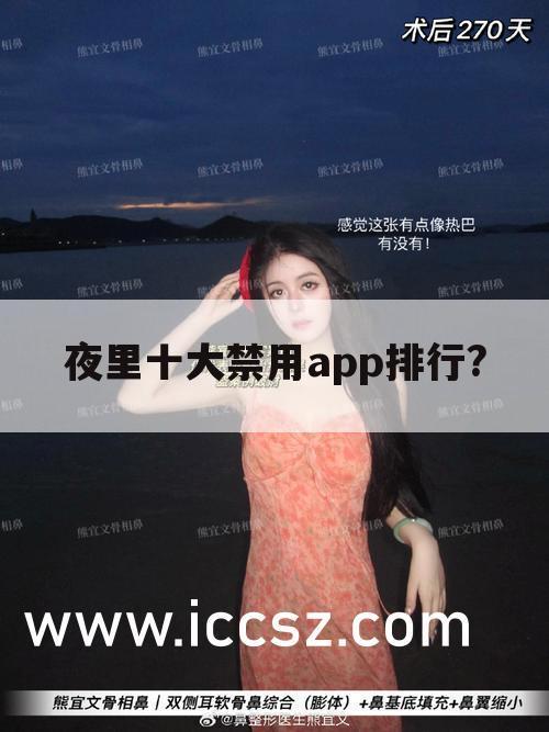 夜里十大禁用app排行?