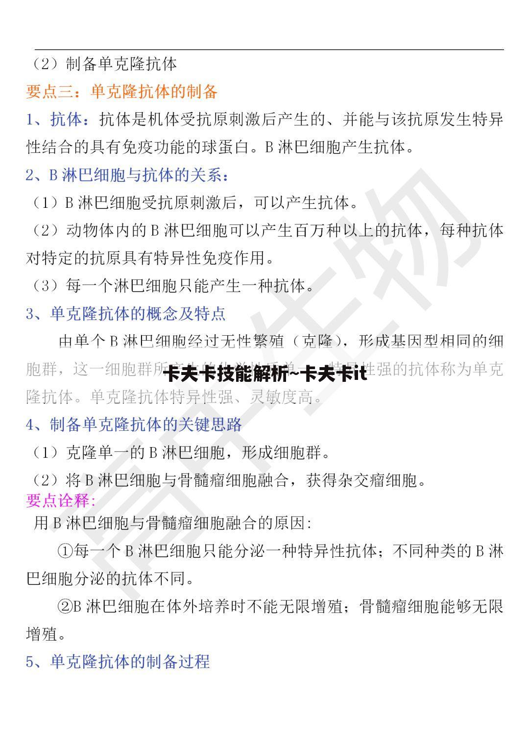 卡夫卡技能解析~卡夫卡it