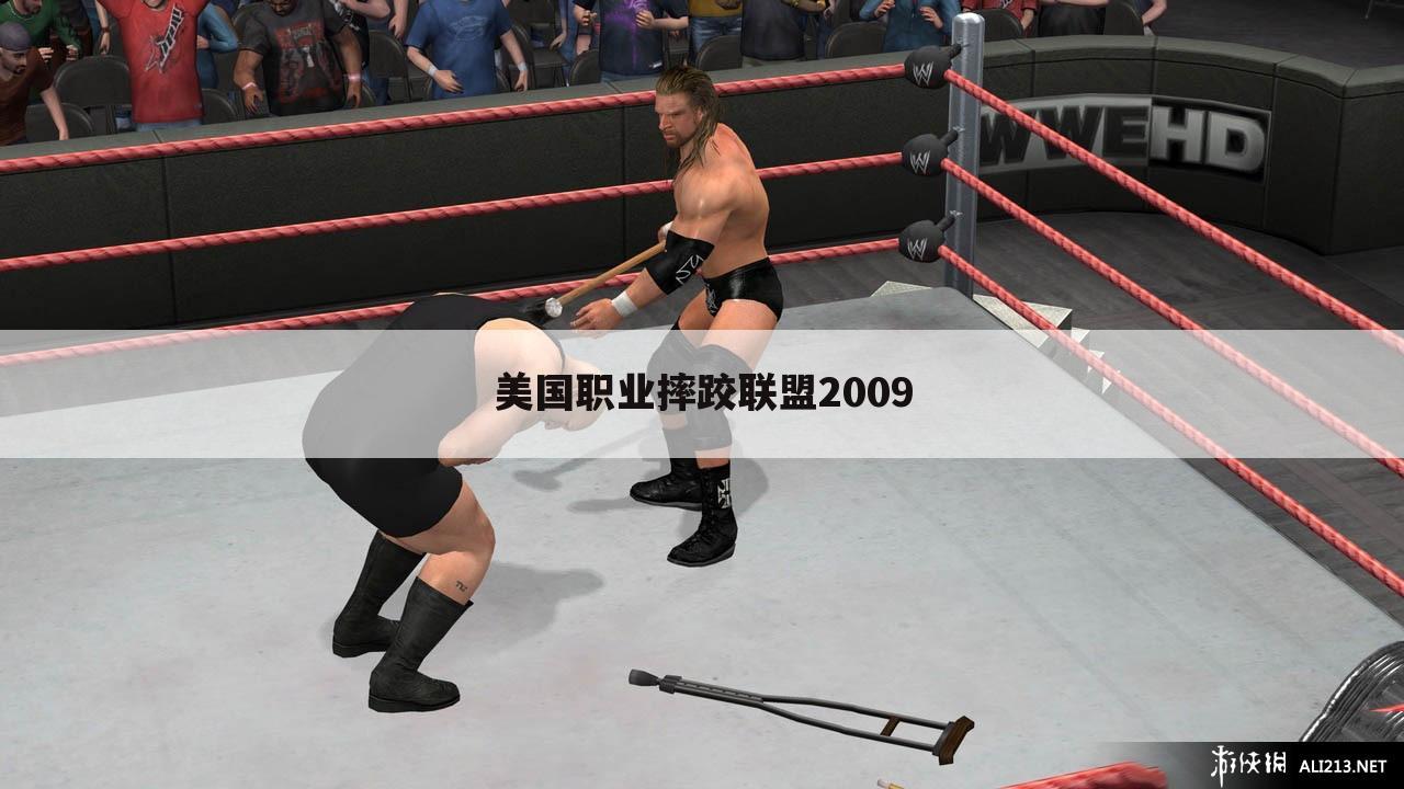 美国职业摔跤联盟2009