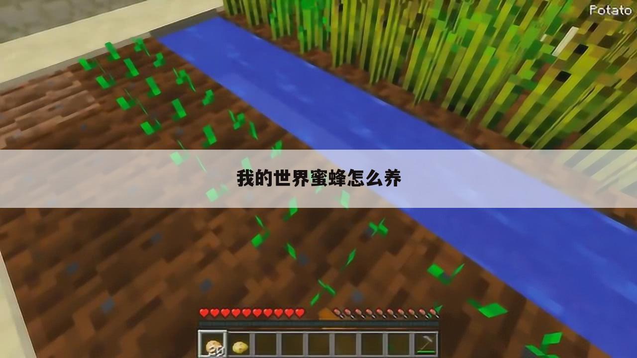 我的世界蜜蜂怎么养