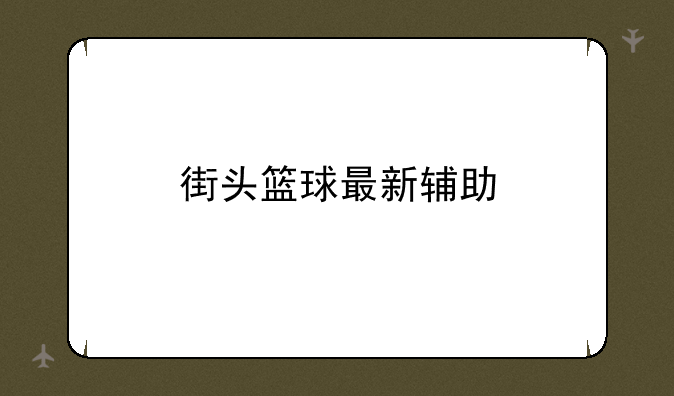 街头篮球最新辅助