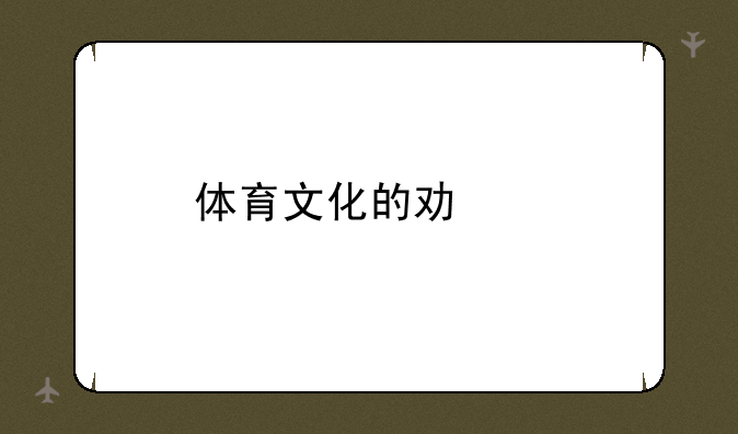 体育文化的功能