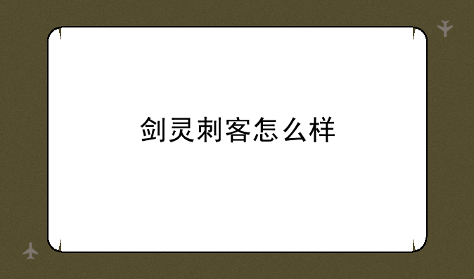 剑灵刺客怎么样
