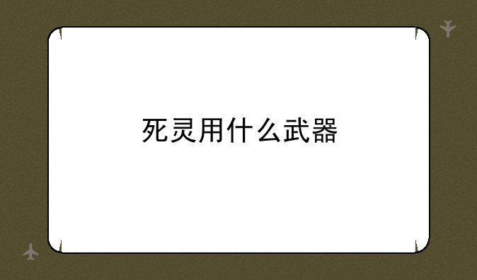 死灵用什么武器