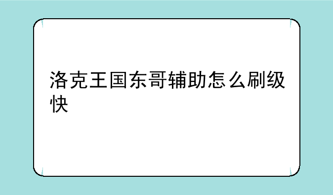 洛克王国东哥辅助怎么刷级快