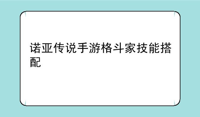 诺亚传说手游格斗家技能搭配