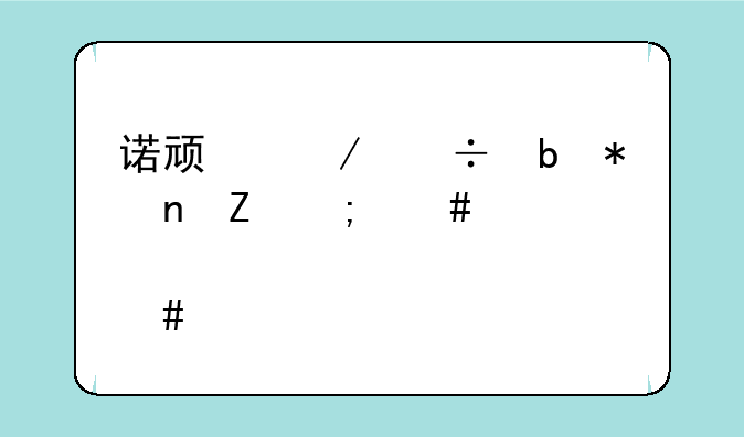 诺顿下载防护更新怎么那么慢