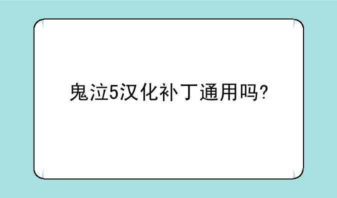 鬼泣5汉化补丁通用吗?