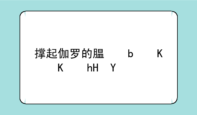 撑起伽罗的腿是什么意思