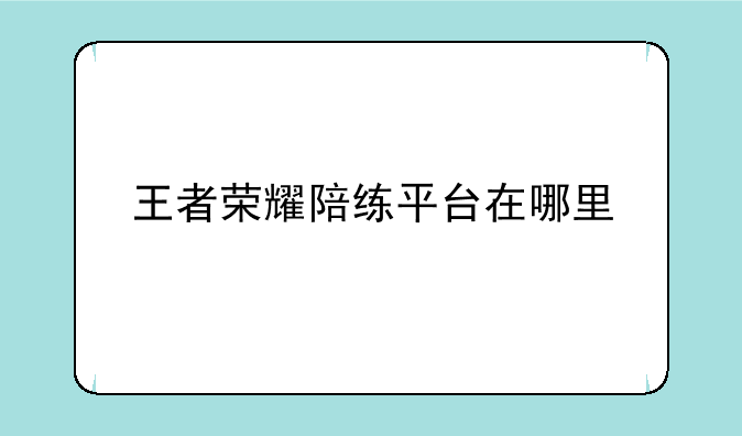 王者荣耀陪练平台在哪里