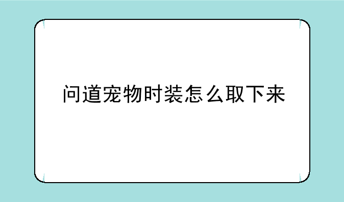 问道宠物时装怎么取下来