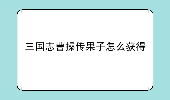 三国志曹操传果子怎么获得